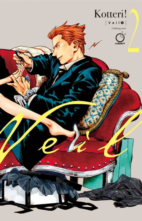 Veil Cover Image